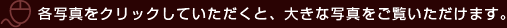 各写真をクリックしていただくと、大きな写真をご覧いただけます。